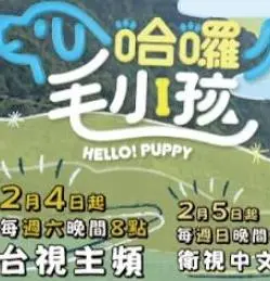 《哈啰！毛小孩》：当萌宠治愈一切，一场关于爱与责任的温情之旅